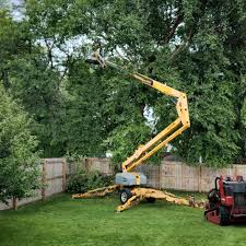 Best Tree Risk Assessment  in Dexter, NM